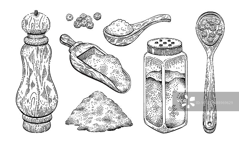 盐椒香料手绘图片素材