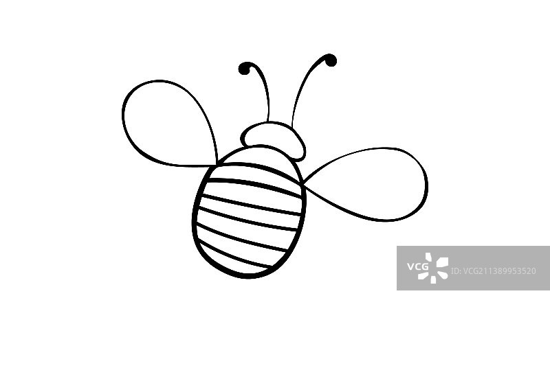 外形胖胖的小蜜蜂可爱的蜜虫图片素材