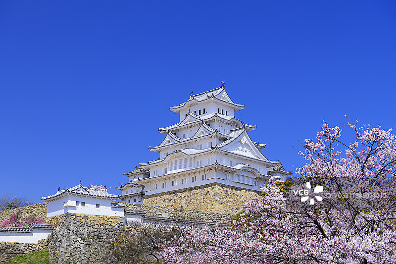 姬路城和樱花，日本图片素材