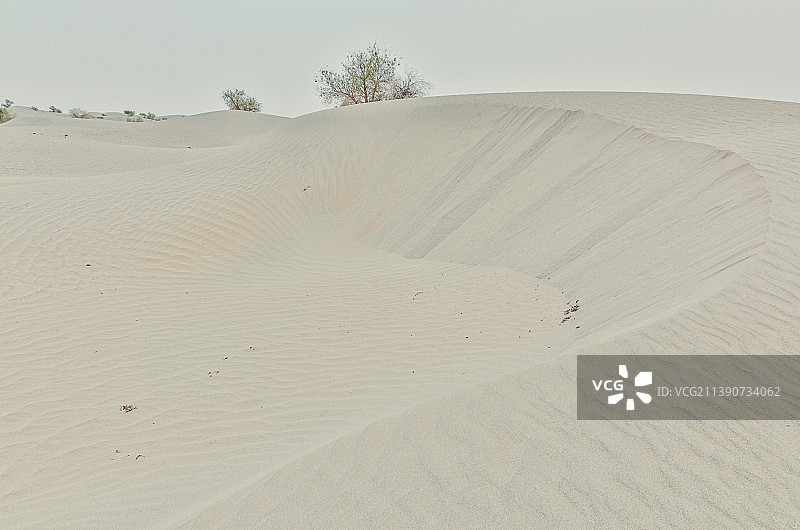 新疆塔克拉玛干沙漠沙海风光图片素材