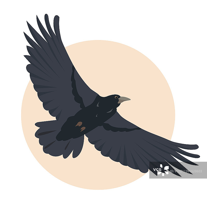 黑乌鸦鸟飞翔在天空乌鸦图标图片素材