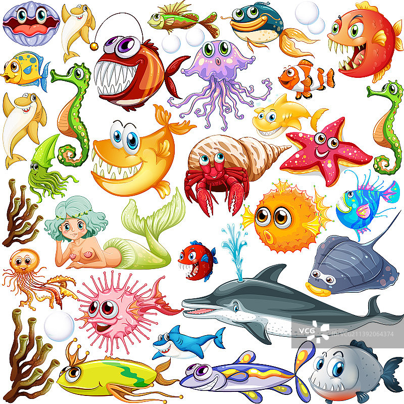 不同种类的海洋动物图片素材