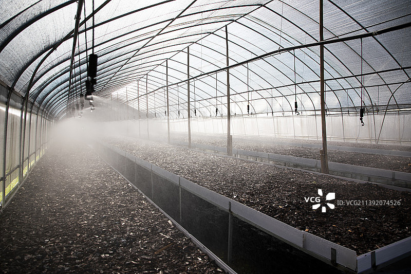 农业大棚种植自动喷淋系统图片素材