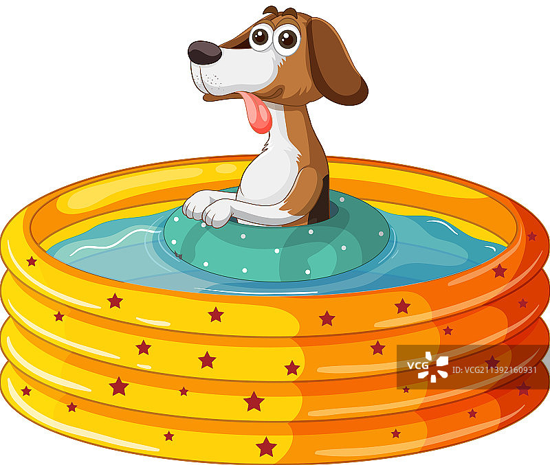 可爱的小狗狗在橡胶游泳池里图片素材
