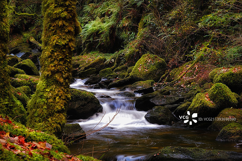 森林瀑布的风景，Muckross，爱尔兰图片素材