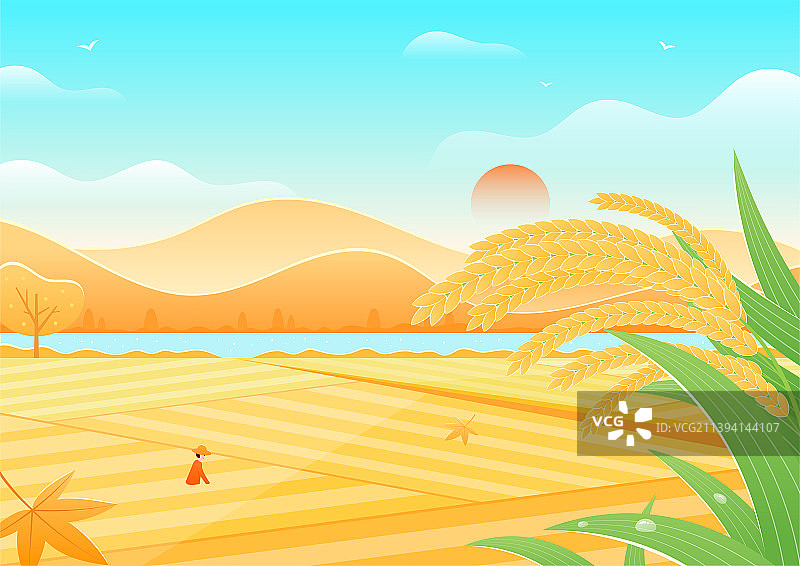 秋天农民在稻田收稻子风景矢量插画图片素材