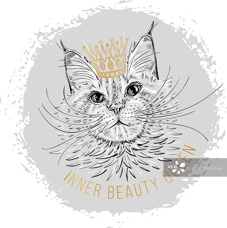 线艺术缅因猫素描与黄金皇冠图片素材