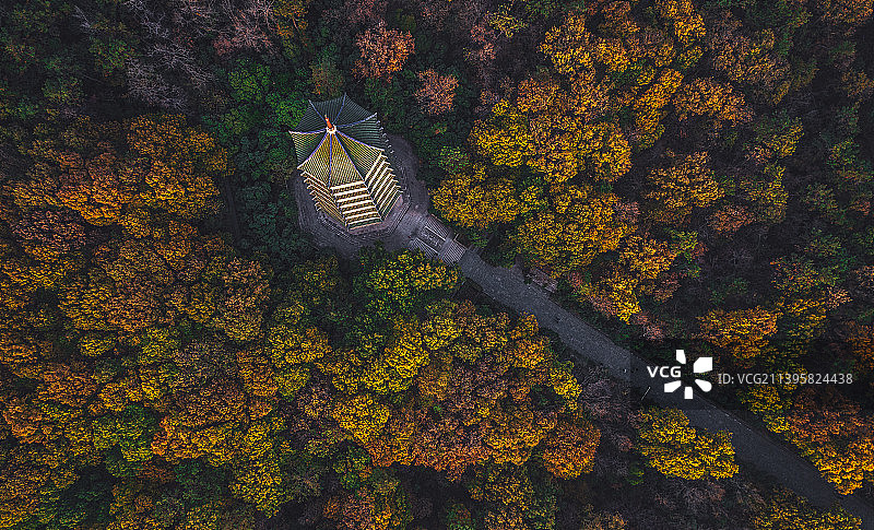 南京钟山风景区里的灵谷胜境。秋天的灵谷塔。图片素材