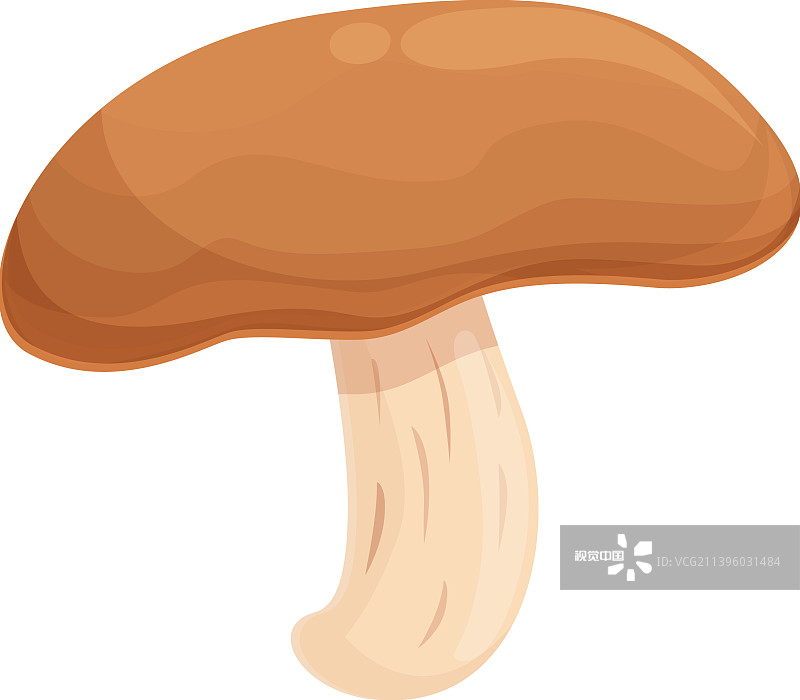 波多贝罗蘑菇图标卡通香菇图片素材