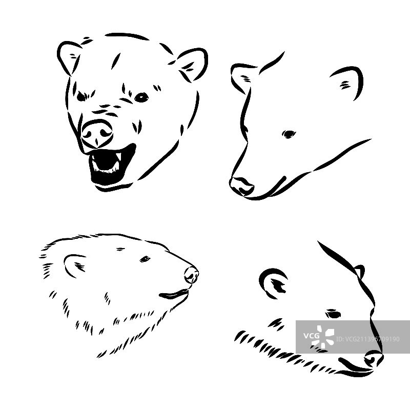 手绘北极熊头部图片素材