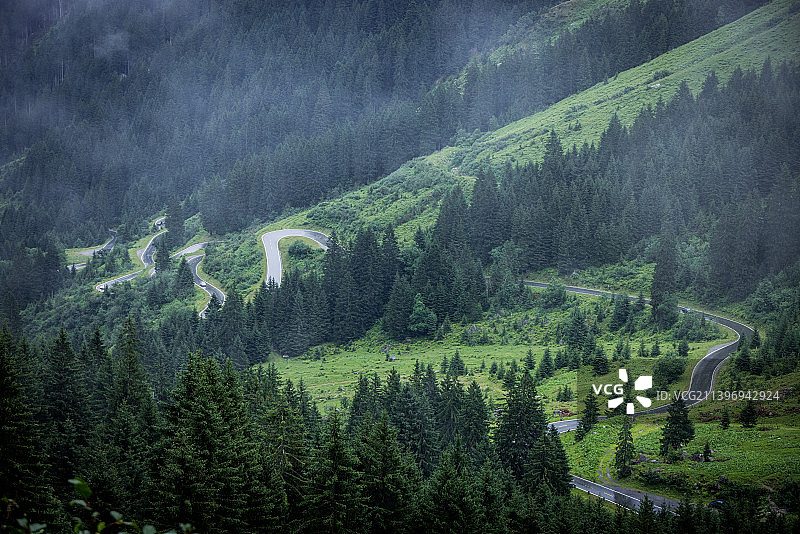 在奥地利阿尔卑斯山脉的福拉尔堡地区，厚厚的云层笼罩着冷杉树图片素材