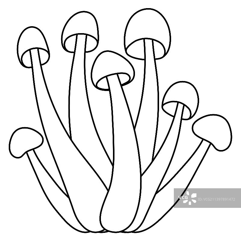 一组蘑菇简单孤立在白色图片素材