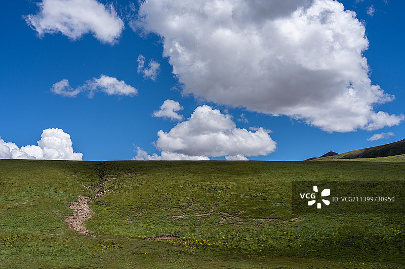 蓝天白云下的草原背景图图片素材