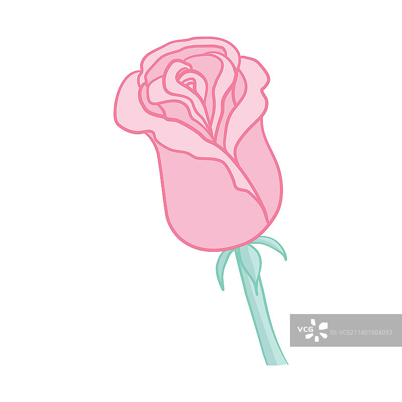 粉色玫瑰孤立花束花园花上白色图片素材