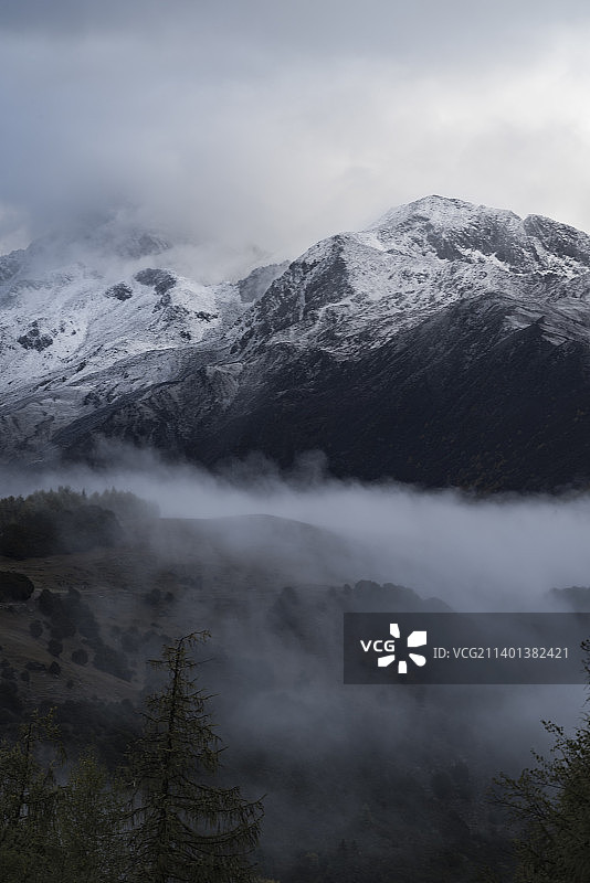 云雾中的四川阿坝州四姑娘山雪峰图片素材