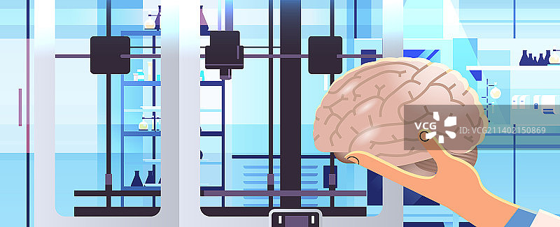 研究者手持3d打印的大脑模型图片素材