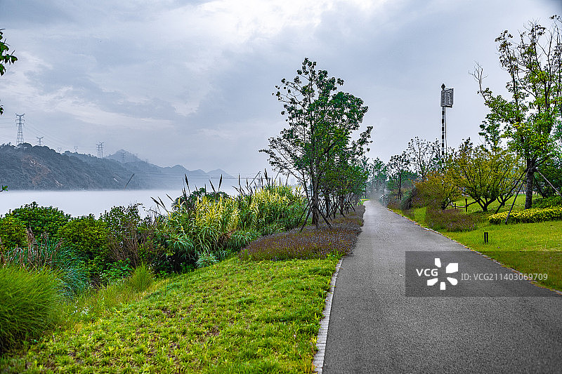 浙江杭州千岛湖 新安江畔 树林中的 塑胶徒步道图片素材
