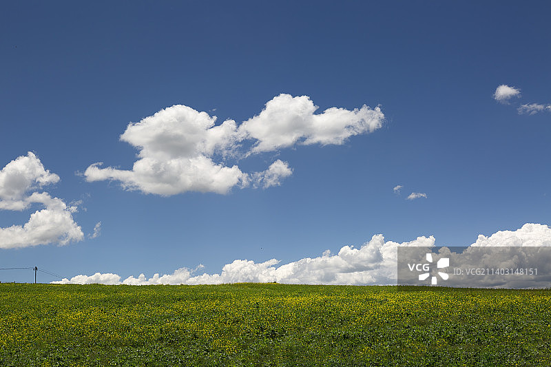 川西塔公草原蓝天白云下的的地平线图片素材