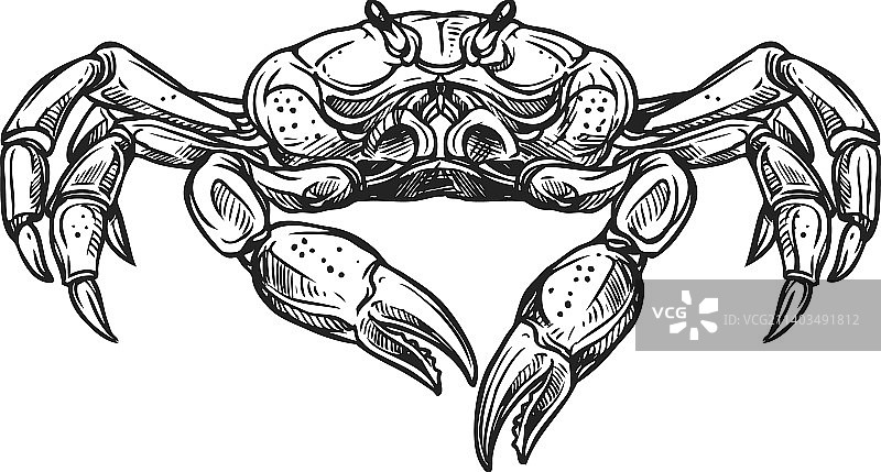 海蟹孤立甲壳类动物图标图片素材