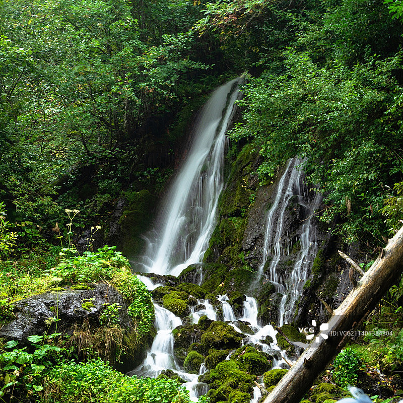 森林中瀑布的风景图片素材