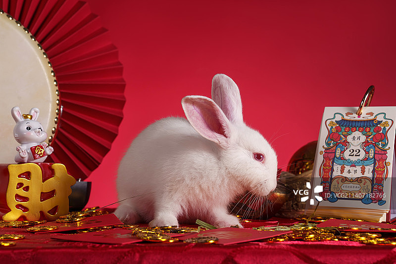 兔子和新年元素图片素材