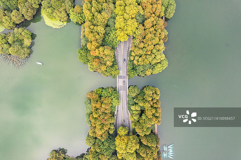 杭州西湖杨公堤航拍秋景图片素材