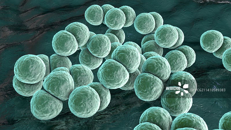 肺炎链球菌，插图图片素材
