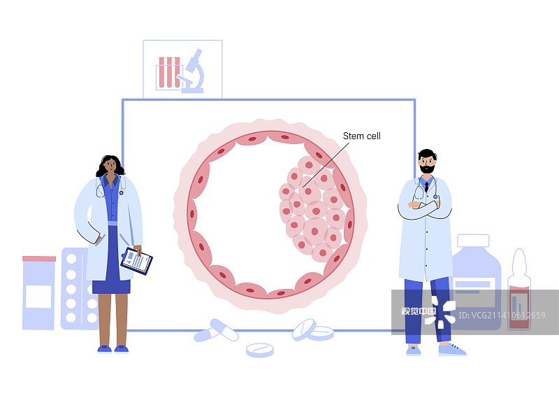 胚胎发育，概念插图图片素材