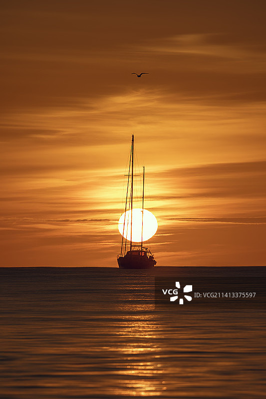 夕阳下，西班牙巴利阿里群岛伊比沙岛，海上帆船的剪影图片素材