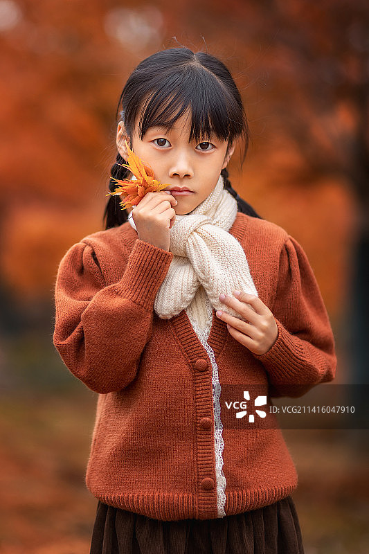 冬天的枫树林里的小女孩图片素材