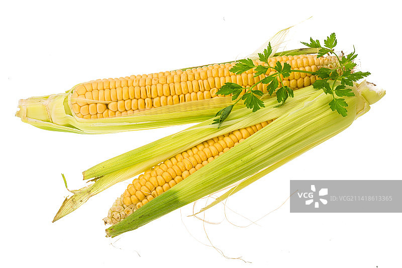罗马尼亚阿拉德，白色背景下的玉米特写图片素材