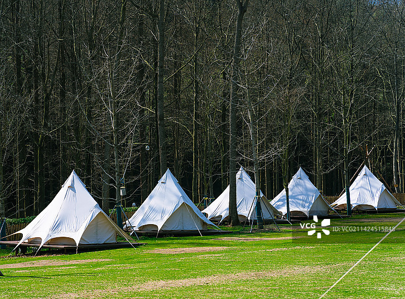 林中的露营帐篷图片素材