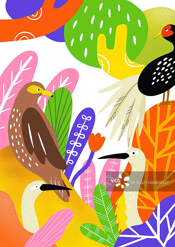 扁平风自然动物鸟类创意插画图片素材