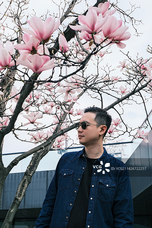 杭州城市阳台 玉兰树下的男子图片素材