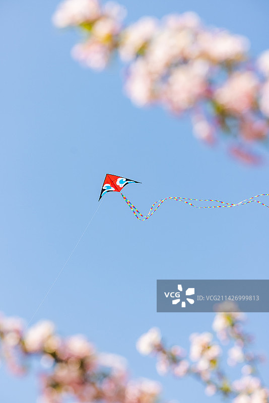春天底视角看花丛中在蓝天上飞翔的风筝图片素材