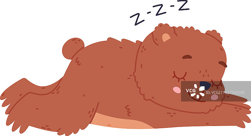 可爱的熟睡熊宝宝滑稽的野生森林棕色图片素材
