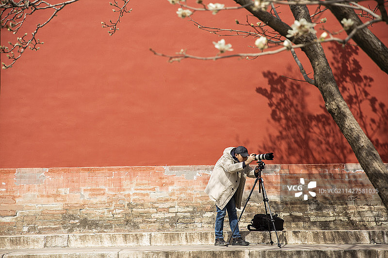 春季男子在皇家园林旅行取景拍照图片素材