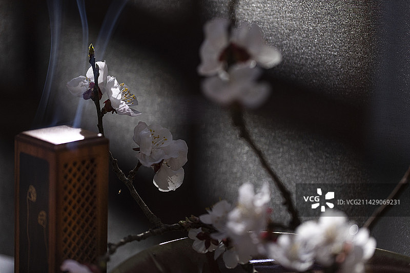 中国风系列静物：樱花和香炉图片素材