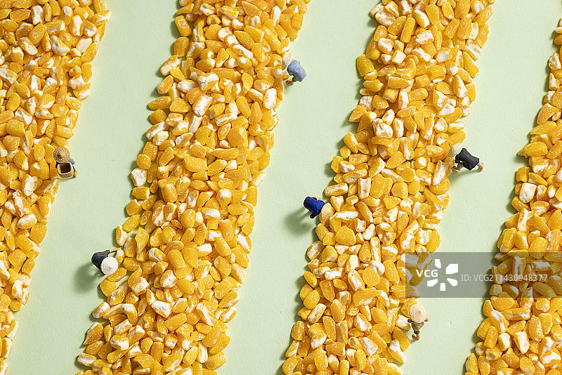 玉米碴创意农民丰收图片图片素材