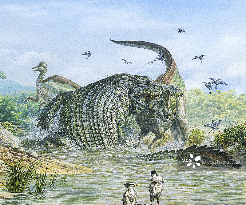 恐爪龙爬行动物攻击恐龙，插图图片素材