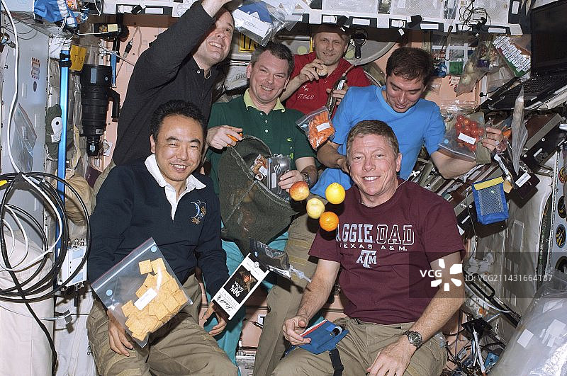 国际空间站第28远征队和STS-135机组人员图片素材