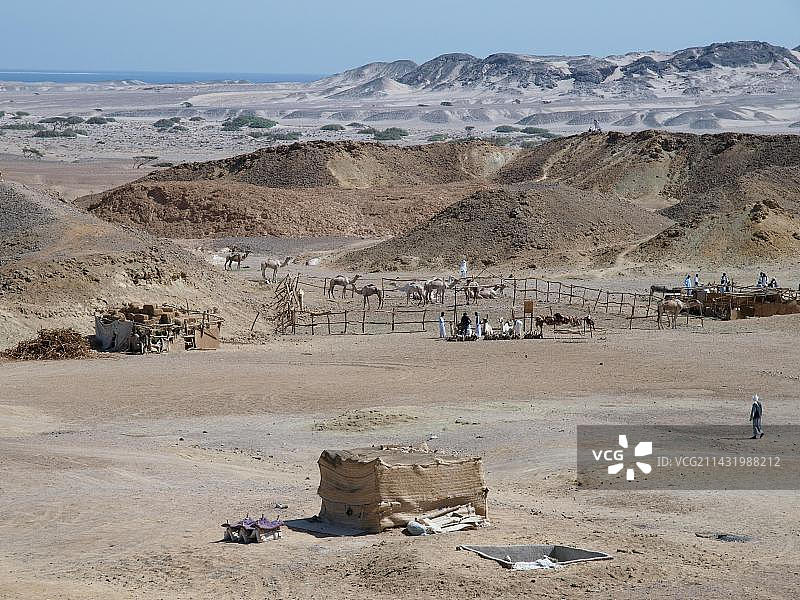 来自埃及的沙漠人民聚集在骆驼谷的瓦迪埃尔贾迈勒国家公园，参加非洲埃及东南部的贝都因文化节图片素材