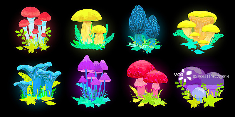 魔法发光蘑菇套装图片素材