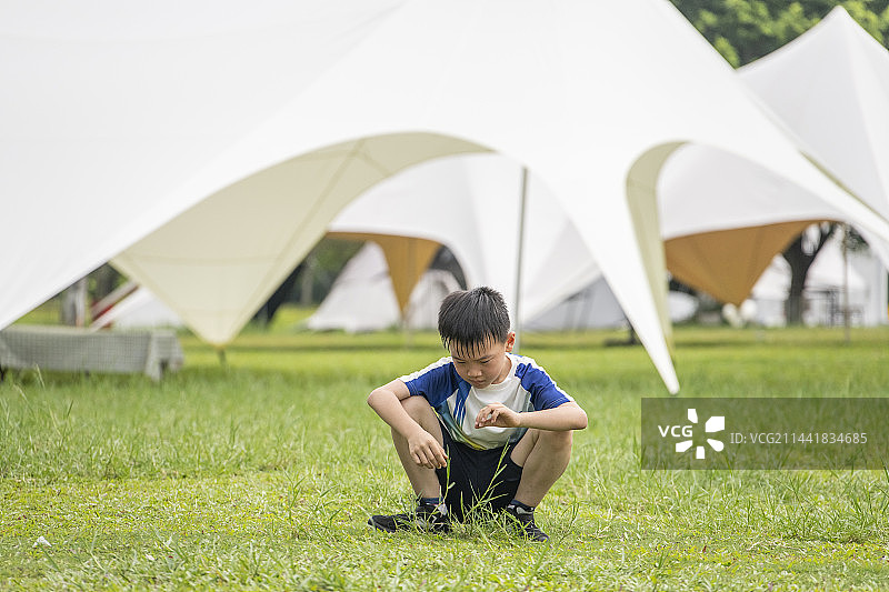 公园露营草地上的小男孩图片素材