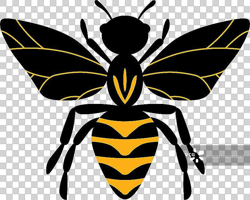 卡通蜜蜂大黄蜂手绘昆虫图片素材