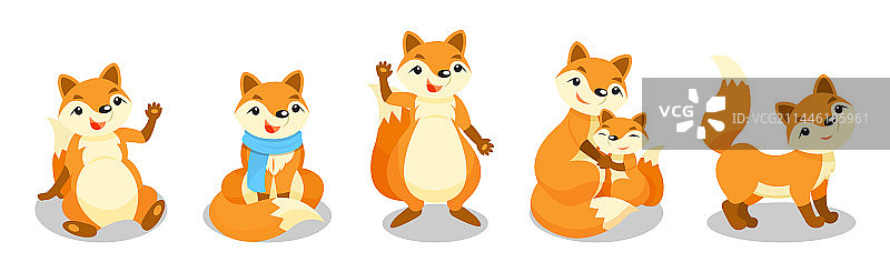 可爱的红色狐狸动物在不同的毛茸茸的尾巴图片素材
