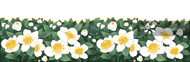 茂盛的茶花植物插画图片素材