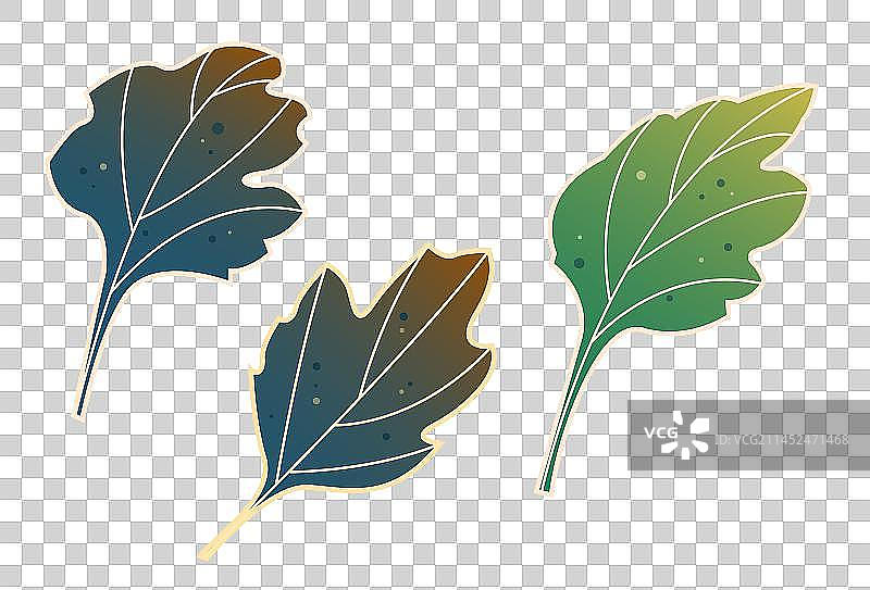国潮国风重阳节节日叶子树叶菊花植物矢量元素图片素材