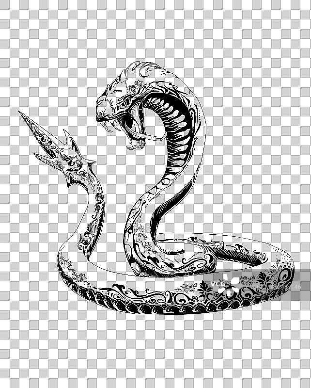 黑白装饰蛇插画图片素材