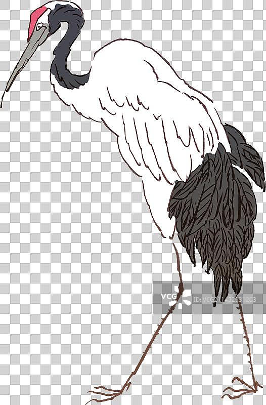 白鹤动物元素图片素材